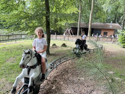 IMG_3149.jpeg